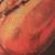Load image into Gallery viewer, Indian Fragrance Oil