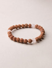 Load image into Gallery viewer, Rudraksha Gemstone Wrist Mala