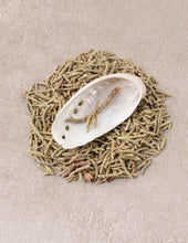 Load image into Gallery viewer, Smudge & Shell Set - Cedar