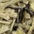Load image into Gallery viewer, Smudge & Shell Set - Juniper