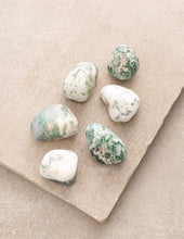 Load image into Gallery viewer, Tree Agate Pocket Stones