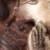 Load image into Gallery viewer, Auspicious Ganesh Statue
