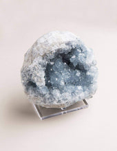Load image into Gallery viewer, Celestine Crystal Geode - One of a Kind
