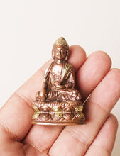 Load image into Gallery viewer, My Pocket Buddha
