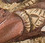 Load image into Gallery viewer, Shiva Nataraj Statue

