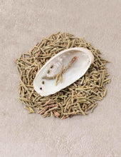 Load image into Gallery viewer, Smudge &amp; Mini Shell Set
