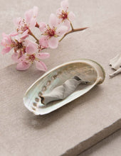 Load image into Gallery viewer, Smudge &amp; Shell Set - Juniper
