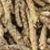 Load image into Gallery viewer, Smudge &amp; Shell Set - Juniper
